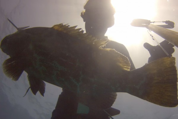 gopro 2013062201