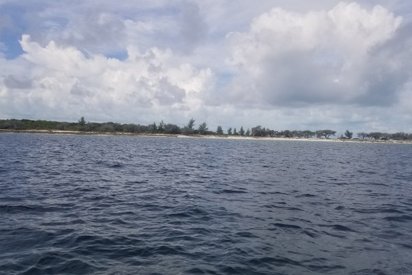 20190615 103257