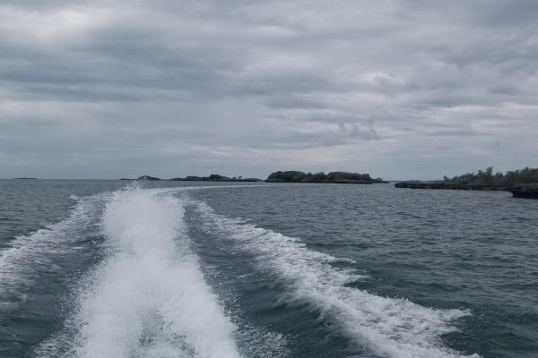 20190616 151908
