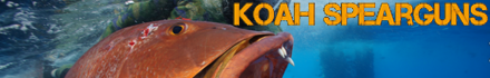 Koah Spearguns - Extreme quality, extreme accuracy