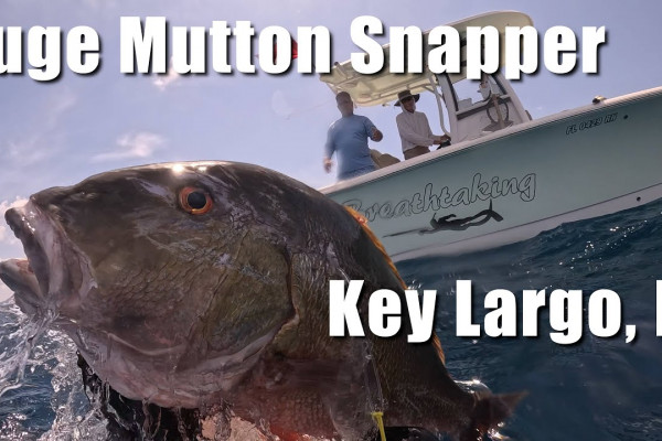 huge personal best key largo
