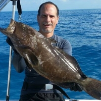 Grouper in the boat!